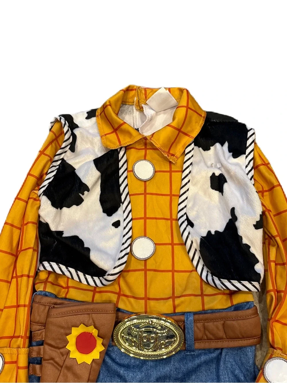 Disney official cowboy